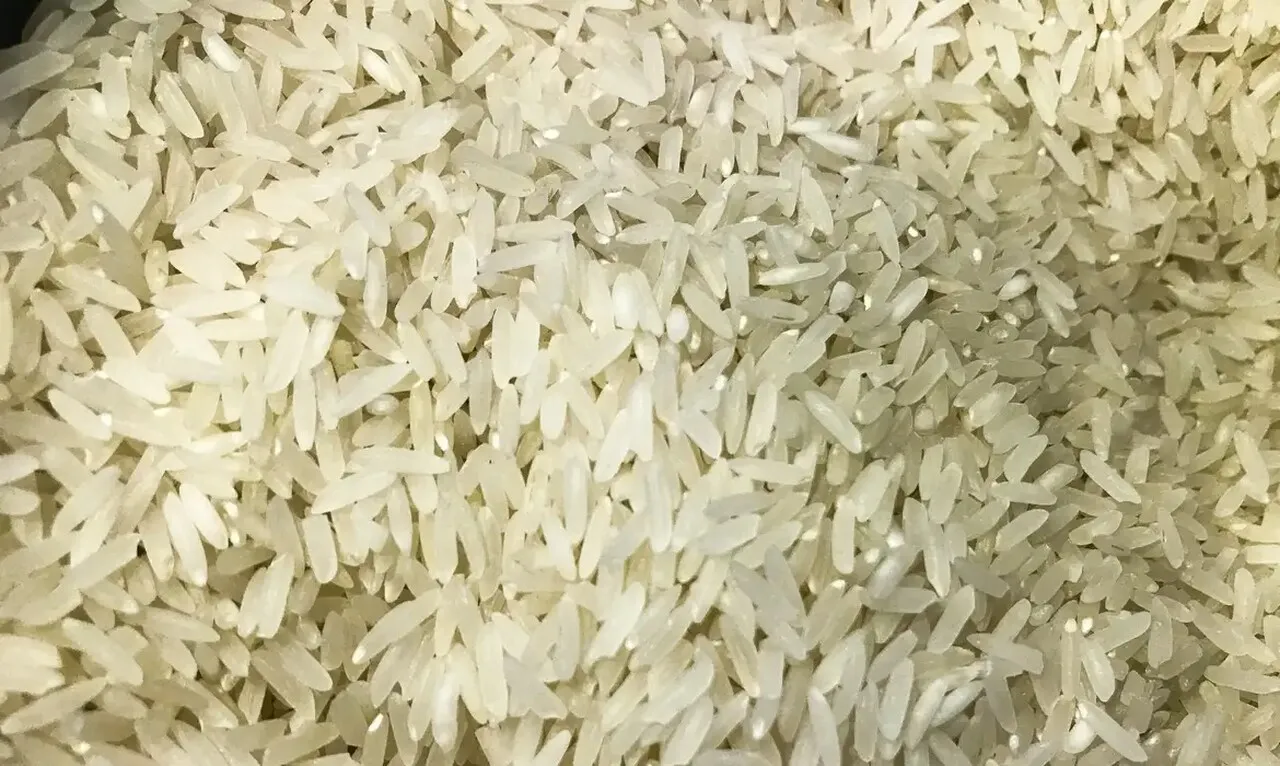 Arroz: governo, indústria e produtor fazem acordo para monitorar preço
